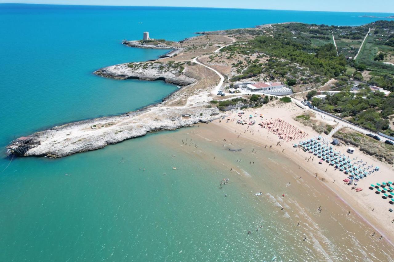 ויאסטה Villaggio Turistico Scialmarino מראה חיצוני תמונה