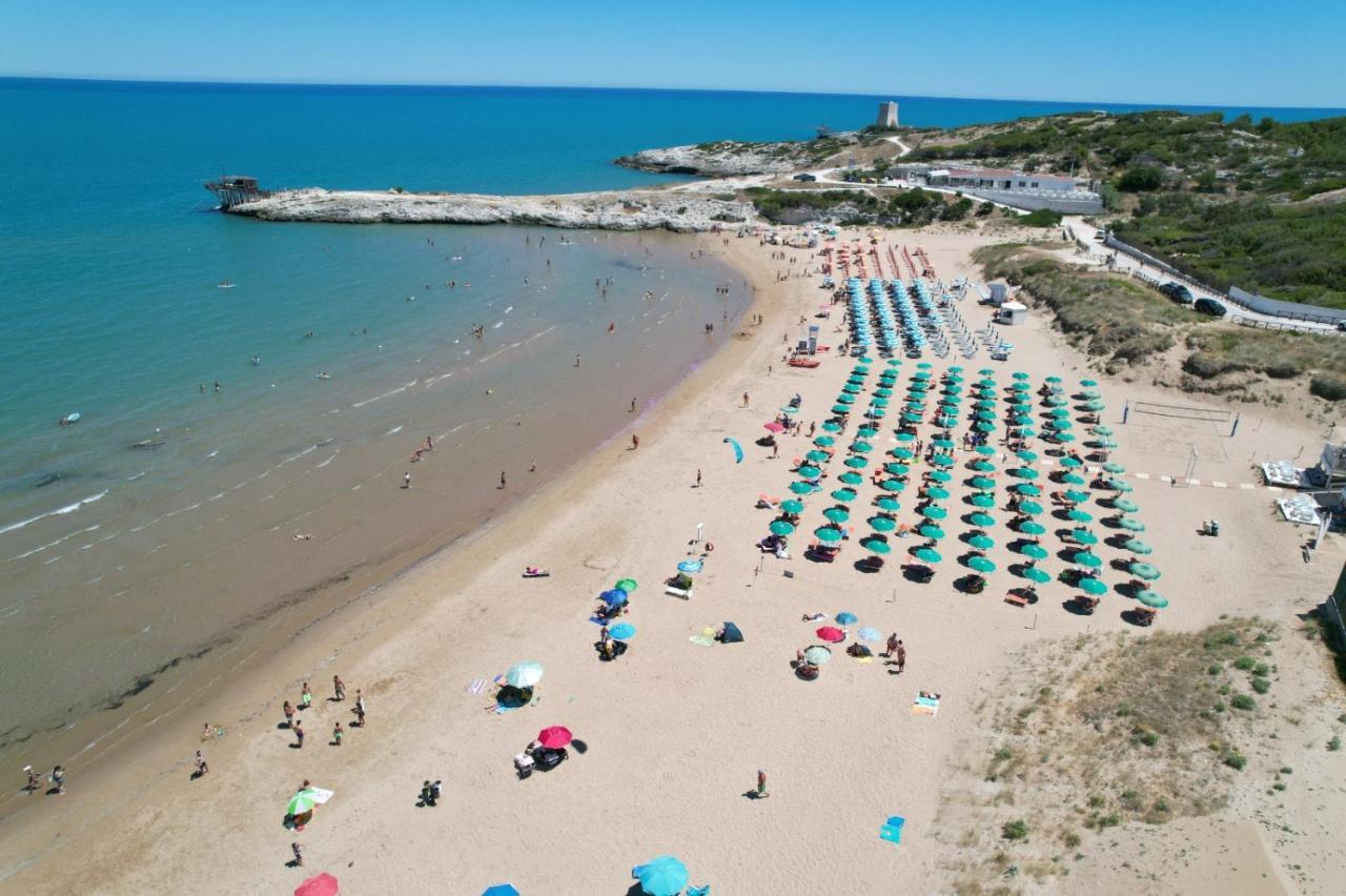ויאסטה Villaggio Turistico Scialmarino מראה חיצוני תמונה