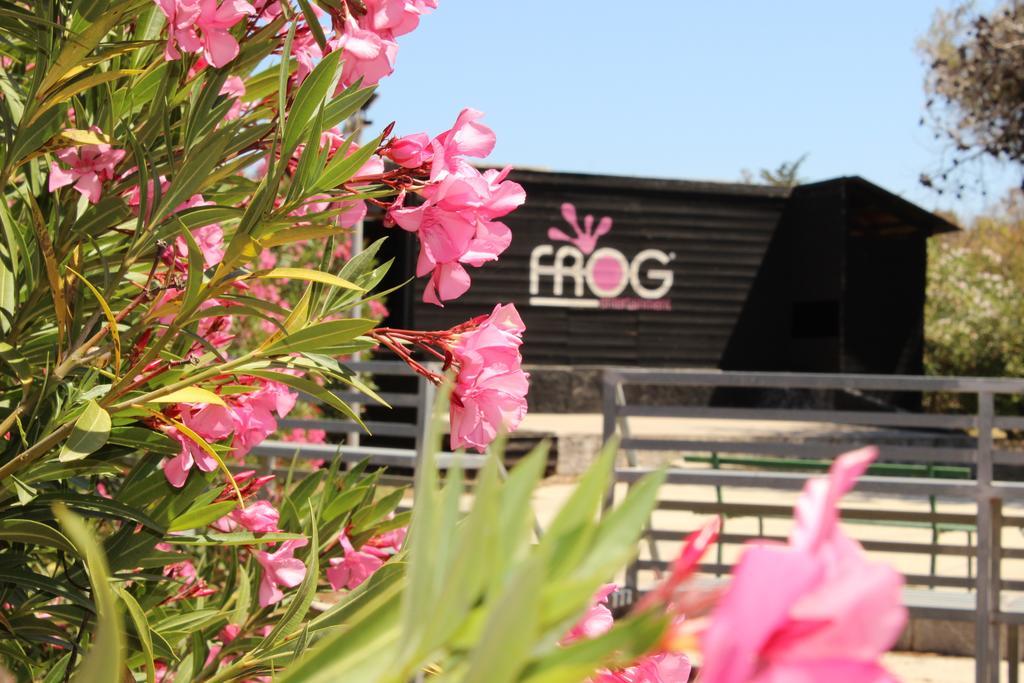 ויאסטה Villaggio Turistico Scialmarino מראה חיצוני תמונה